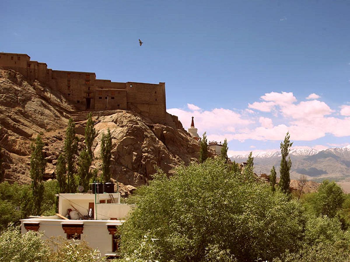 The Hotel Himalaya, Leh Ngoại thất bức ảnh